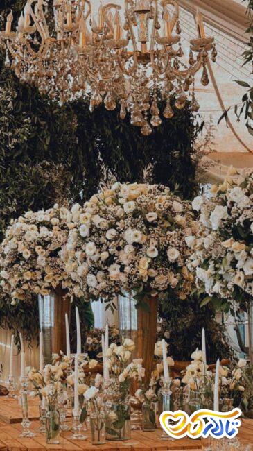 باغ تالار و روف گاردن لتیان