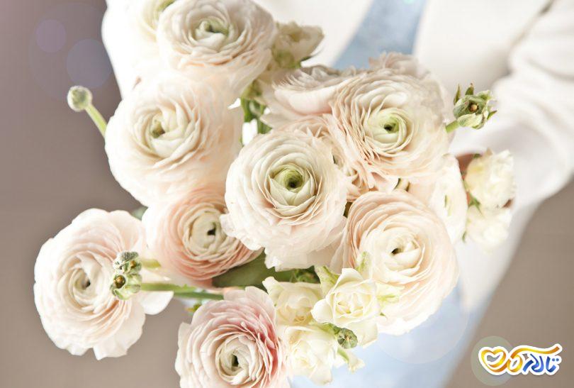 راهنمای انتخاب گل عروس